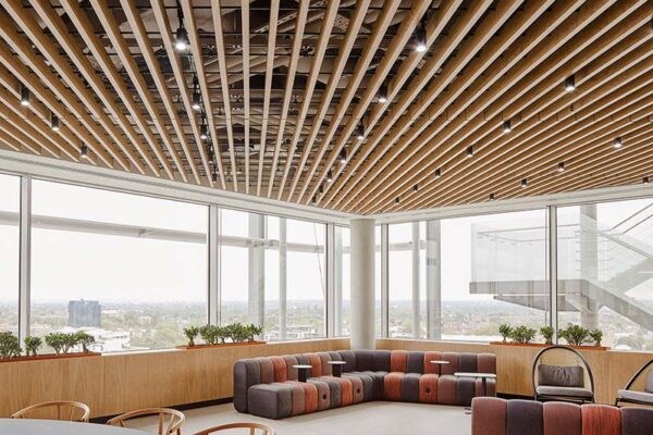 Ảnh giới thiệu